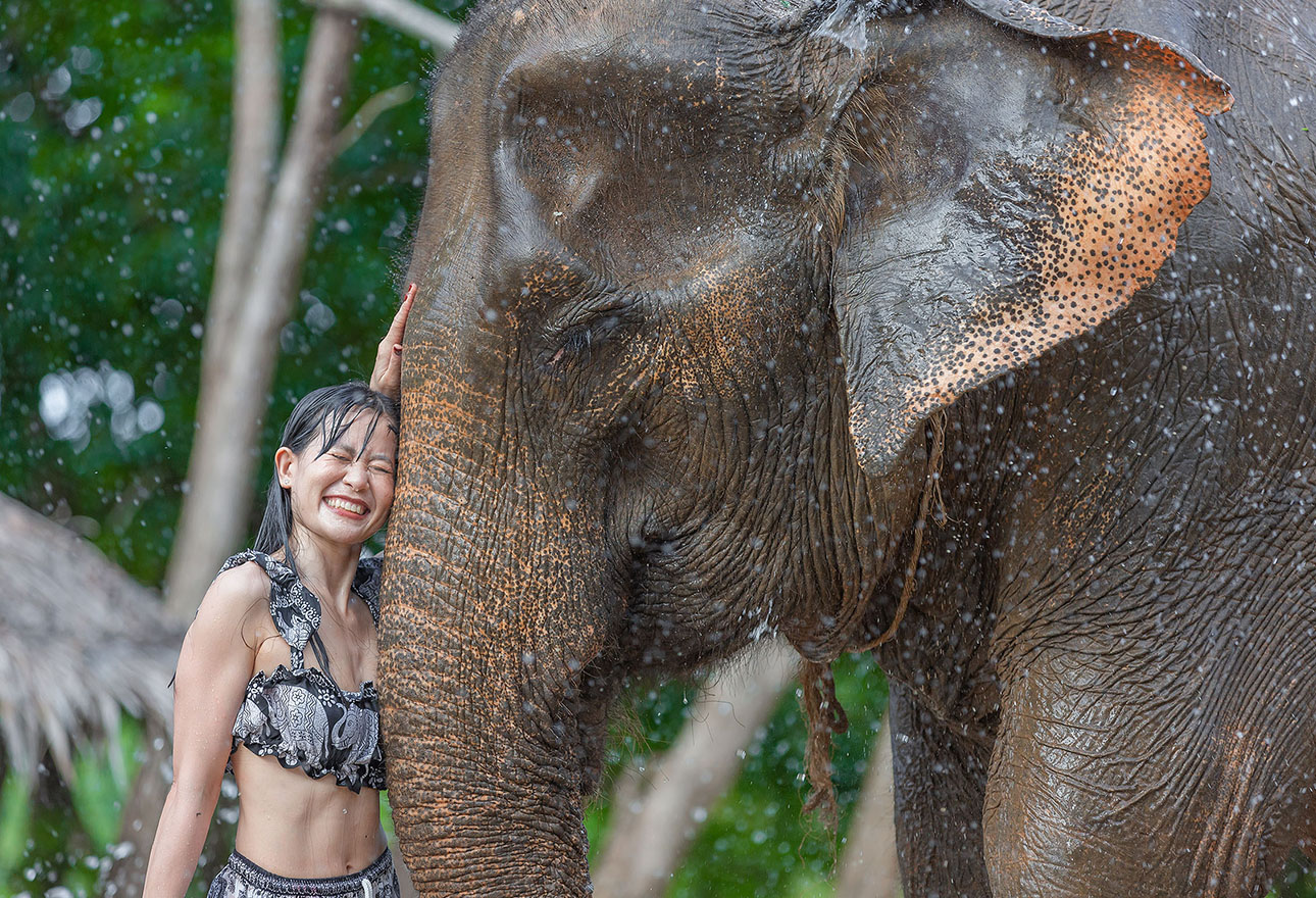 Elephants and guests at Siray Elephant Care Camp