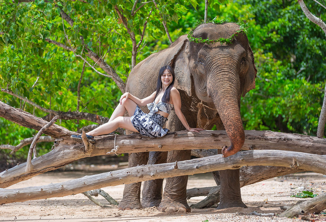 Elephant experience by the sea