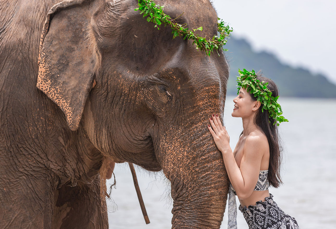 Visitors enjoying an elephant care experience