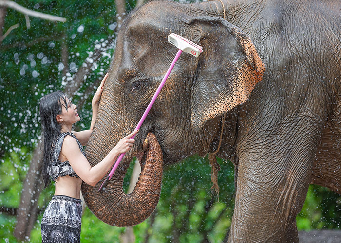 Feed and Rainshower