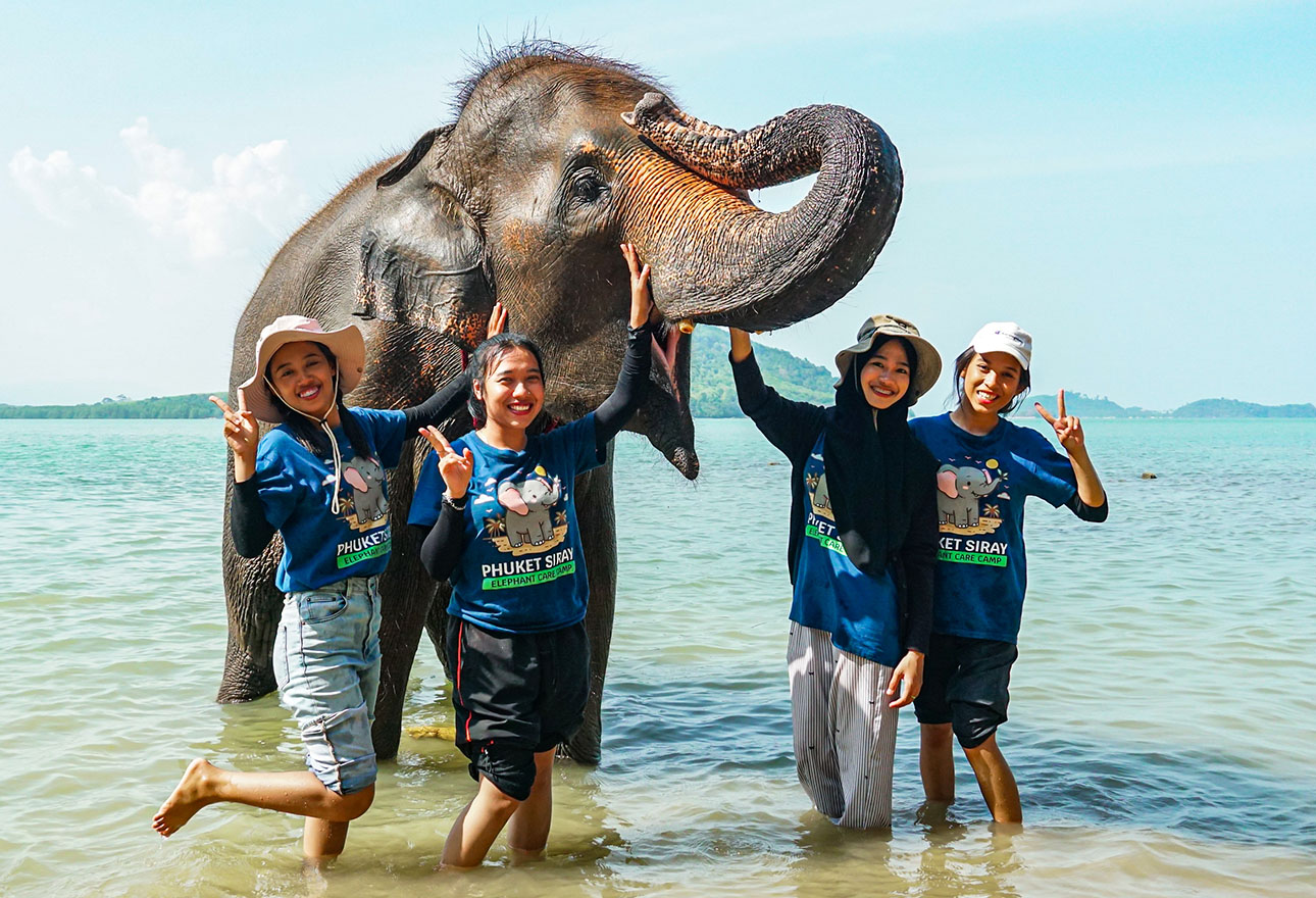 A gentle elephant encounter at Siray Elephant Care