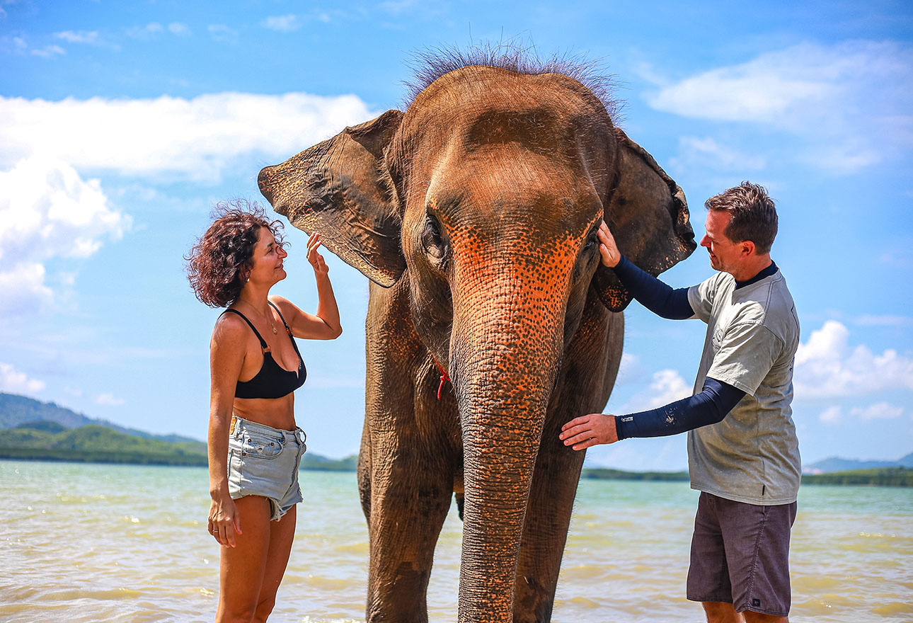 Elephant care at the sanctuary