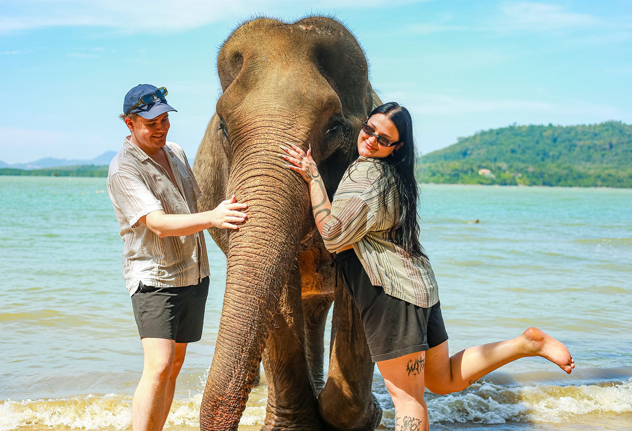 Elephants walking in their coastal home